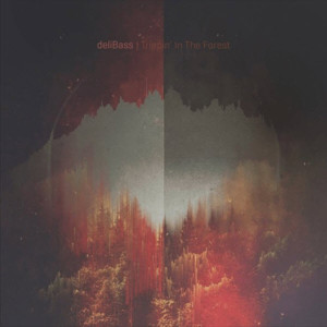 Trippin' In The Forest